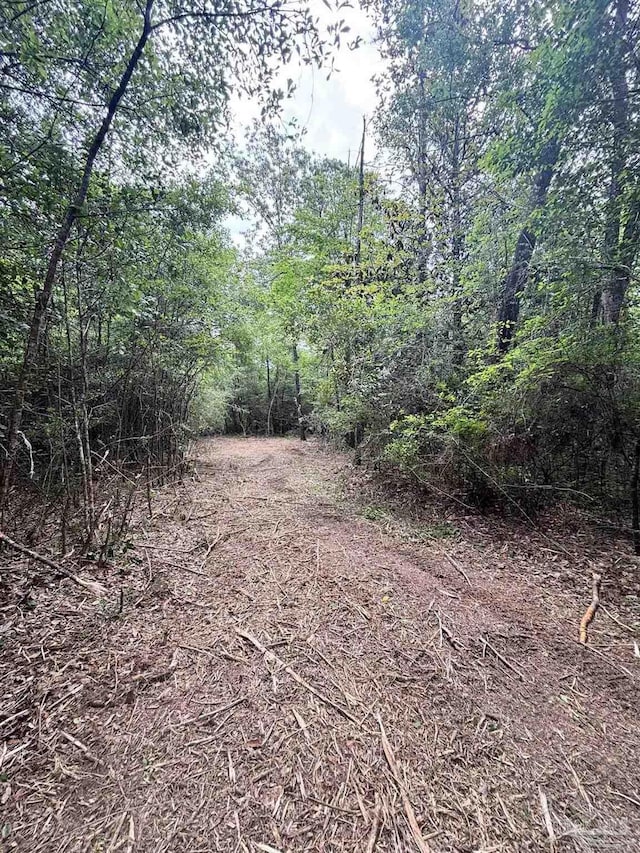 200 Cotton Creek Rd, Mcdavid, FL 32568