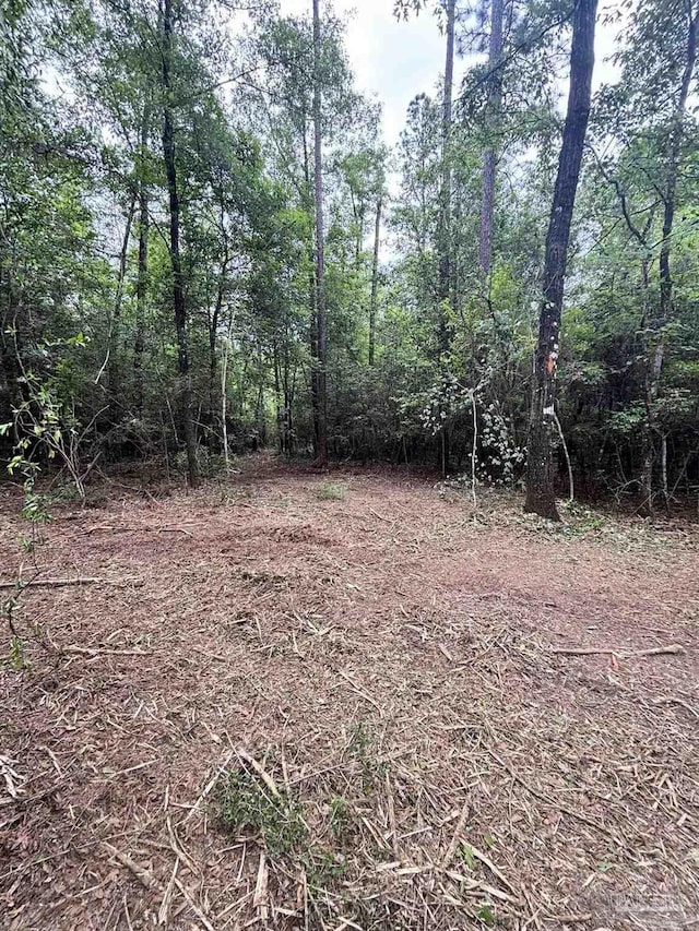 200 Cotton Creek Rd, Mcdavid, FL 32568