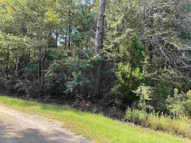 Listing photo 3 for LOT69 Shady Bayou Ln, Milton FL 32583