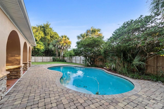 view of pool with a patio