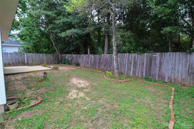 view of yard with a patio