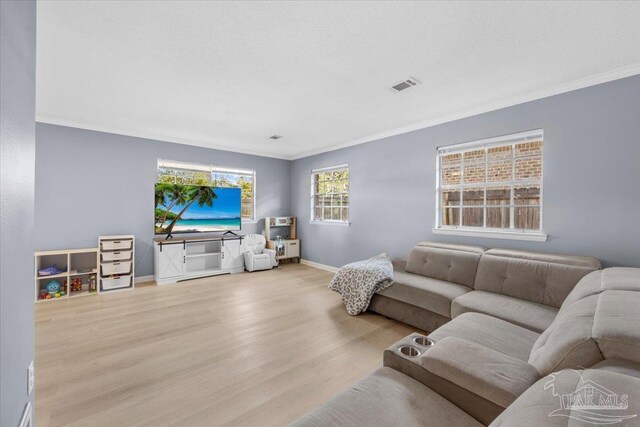 931 Pocahontas Dr, Ft Walton Beach, FL 32547 - living room featuring ornamental molding, a textured ceiling, and hardwood / wood-style flooring
