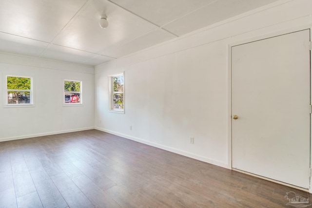 spare room featuring dark wood-type flooring and a healthy amount of sunlight