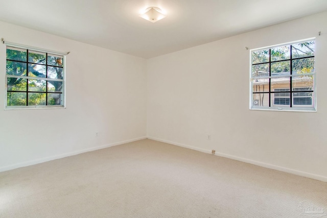 unfurnished room featuring carpet floors