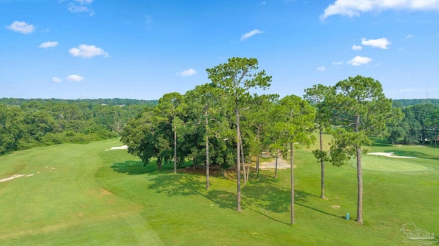 view of community featuring a yard