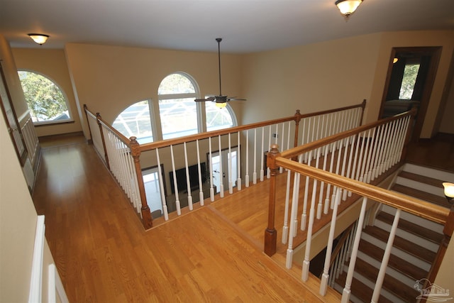 stairway featuring wood finished floors