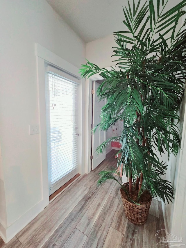 doorway featuring baseboards and wood finished floors