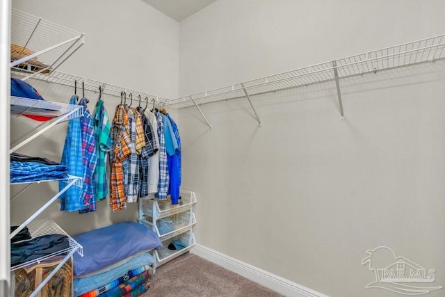 walk in closet featuring carpet floors