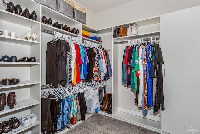 spacious closet featuring carpet floors