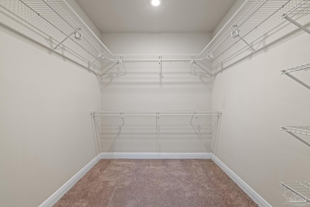 12789 Island Spirit Dr, Pensacola, FL 32506 - spacious closet with carpet flooring
