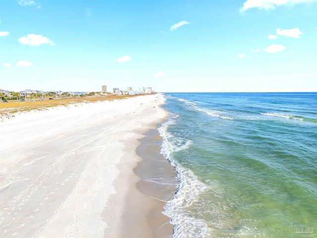 view of water feature featuring a beach view