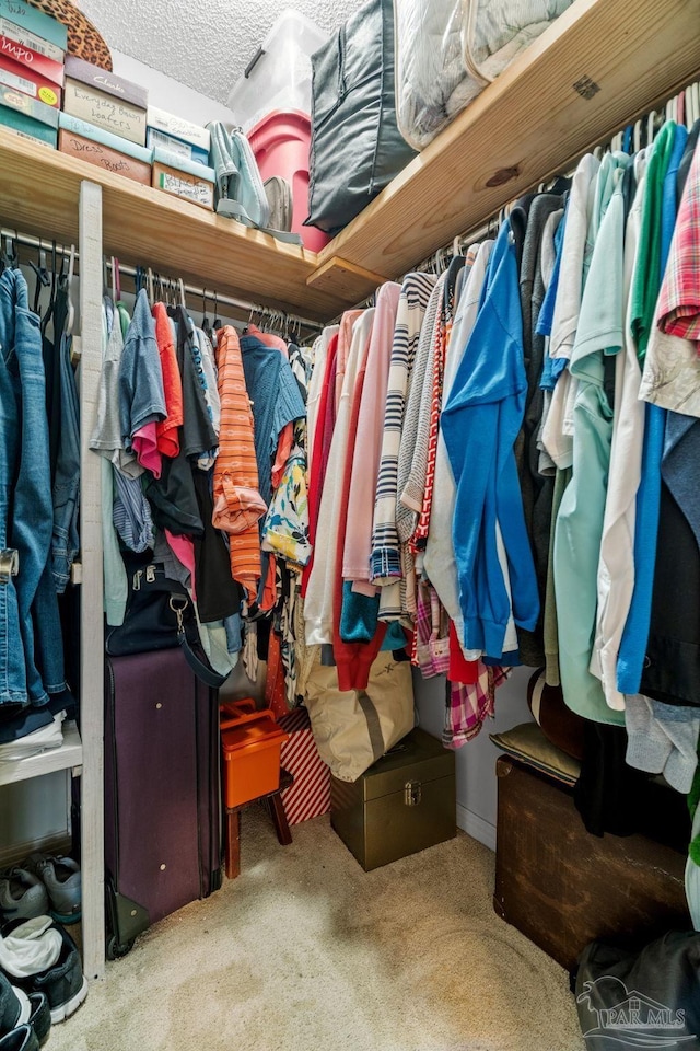walk in closet with carpet floors