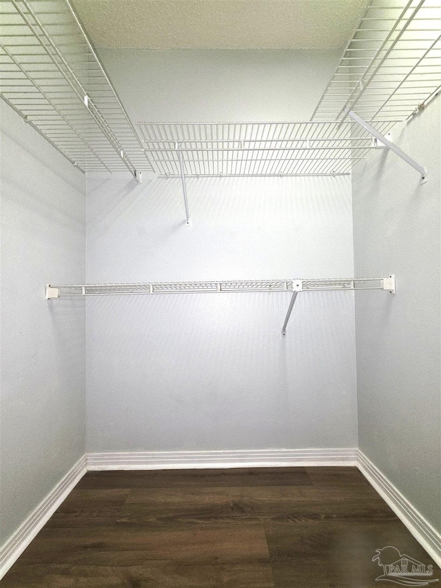 1900 W Kingsfield Rd, Cantonment, FL 32533 - walk in closet with dark wood-type flooring