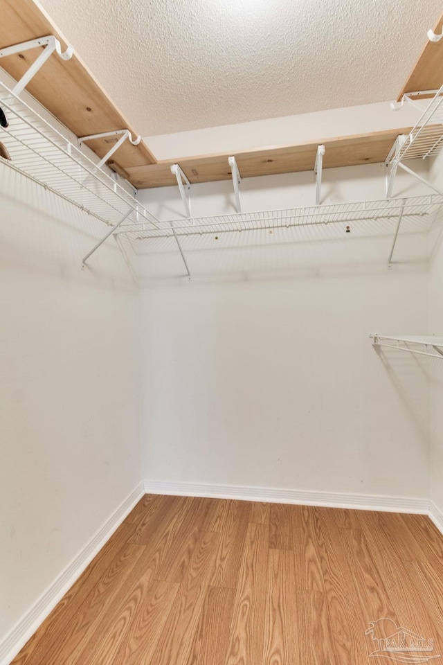 3881 Windsor Castle Blvd, Milton, FL 32583 - spacious closet with light wood-style floors