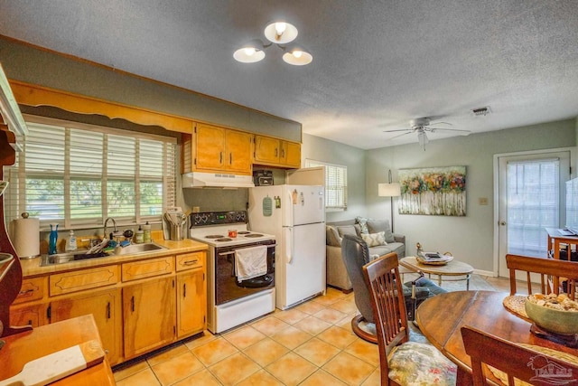 kitchen with white appliances, a wealth of natural light, and sink