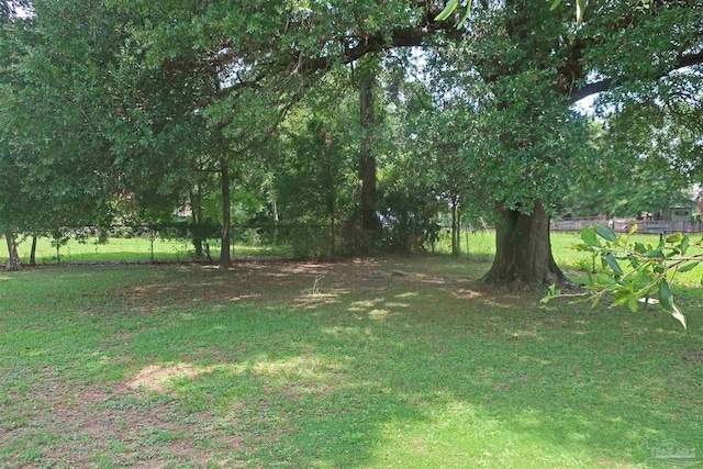 6150 Forest Pines Dr, Pensacola, FL 32526 - view of yard