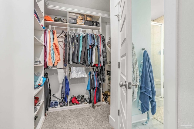 spacious closet with carpet flooring