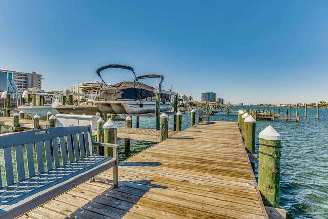 dock area with a water view