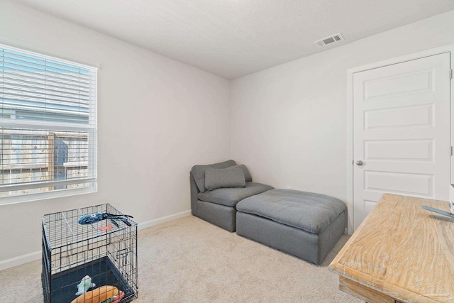 5252 Peach Dr, Pace, FL 32571 - sitting room with carpet floors and baseboards