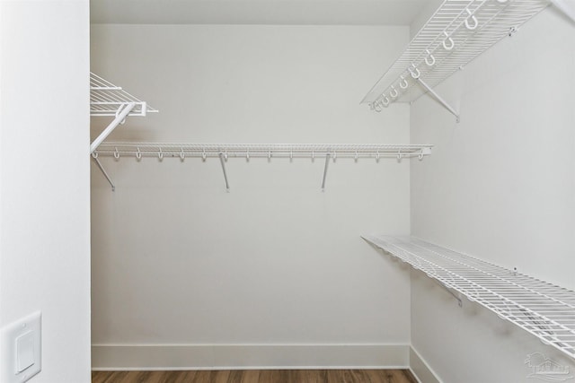 spacious closet with dark wood-style floors