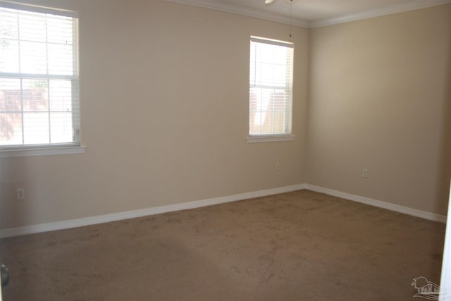 spare room with carpet floors, a healthy amount of sunlight, crown molding, and baseboards