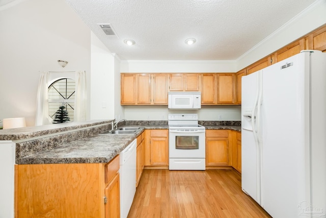 kitchen with sink, light hardwood / wood-style flooring, crown molding, a textured ceiling, and white appliances