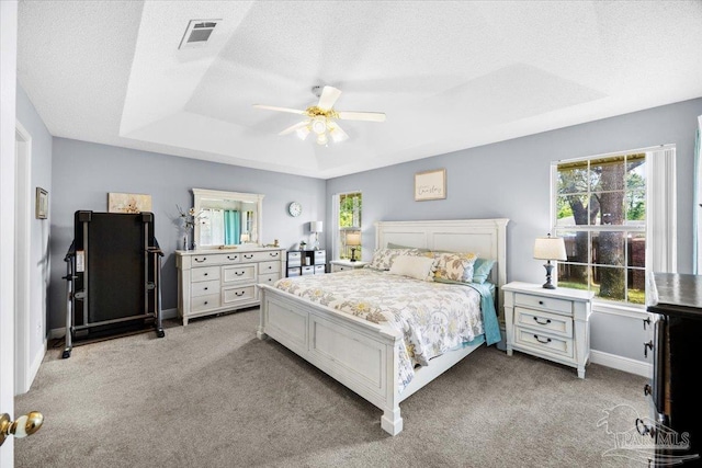 7951 Amethyst Dr, Pensacola, FL 32506 - bedroom with light colored carpet, multiple windows, a raised ceiling, baseboards, and a textured ceiling