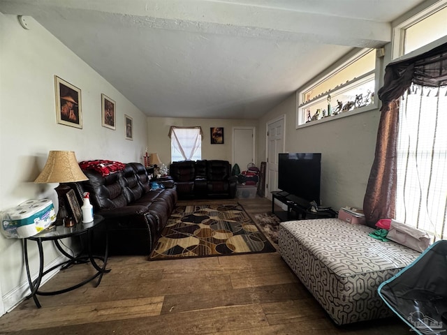 living room with hardwood / wood-style flooring