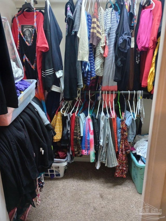 walk in closet featuring carpet