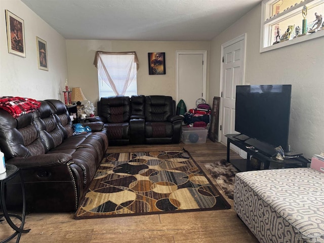 living room featuring wood-type flooring