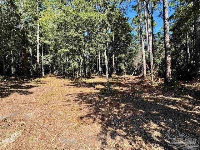 0000 Owensville Rd, Milton FL, 32583 land for sale