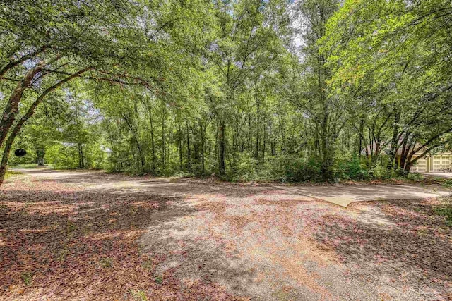 7515 Whiting Acres Ln, Milton, FL 32570 - view of yard featuring a wooded view
