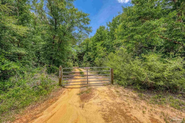 7515 Whiting Acres Ln, Milton, FL 32570 - view of dirt / gravel road featuring a gate and a wooded view