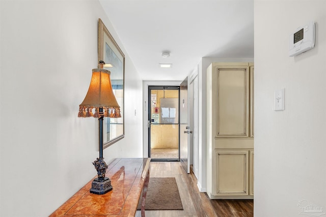 1007 W Beach Blvd Unit 53, Gulf Shores, AL 36542 - hall featuring wood finished floors and expansive windows