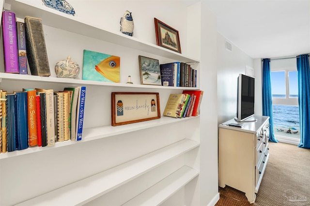 1007 W Beach Blvd Unit 53, Gulf Shores, AL 36542 - hall with carpet flooring