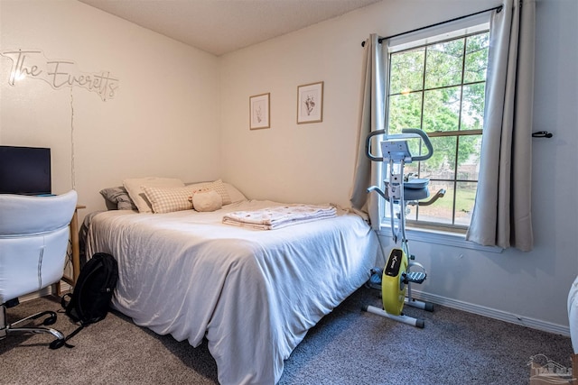 1314 Foxborough Dr, Pensacola, FL 32514 - carpeted bedroom with multiple windows