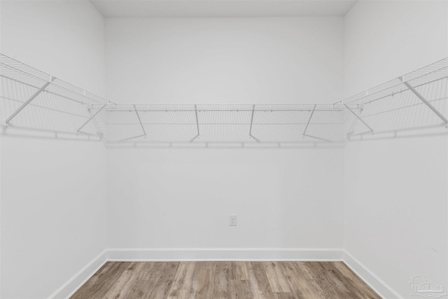 spacious closet with hardwood / wood-style floors