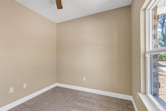 unfurnished room featuring ceiling fan and carpet flooring