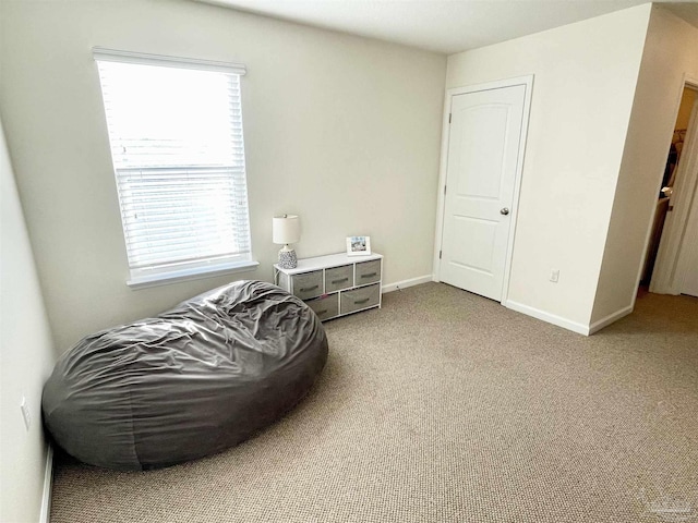 living area featuring carpet floors