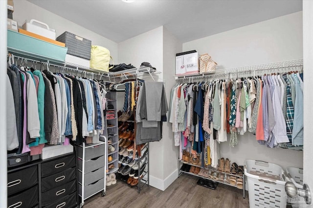 walk in closet featuring dark hardwood / wood-style flooring