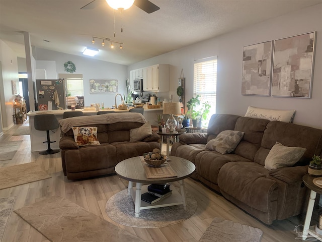 living area with lofted ceiling, a ceiling fan, and light wood finished floors