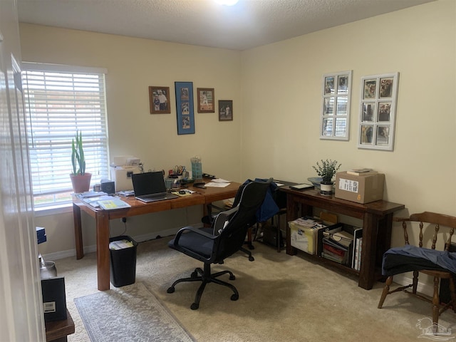 office area featuring carpet flooring and a textured ceiling