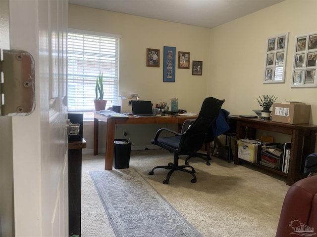 office featuring carpet