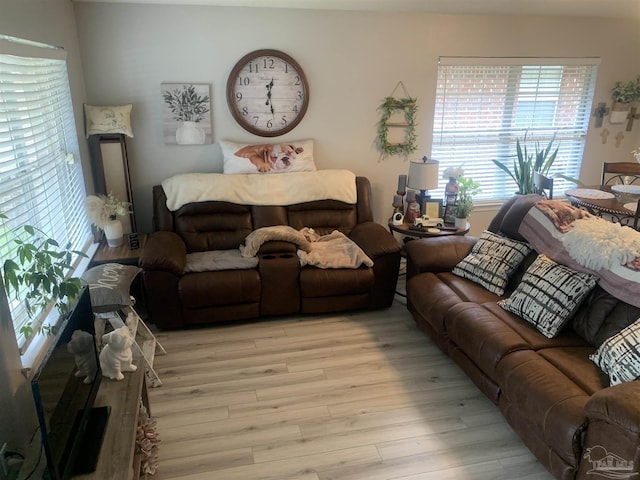 living area with light wood-style flooring