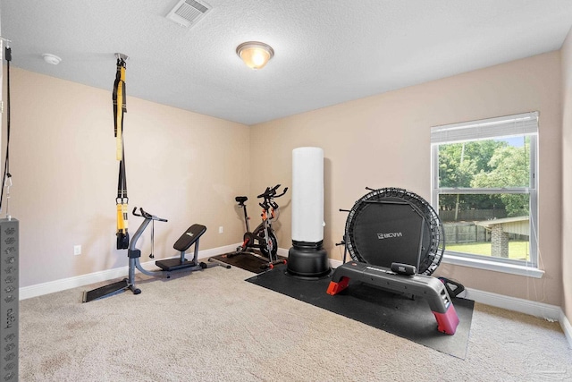 1824 Lindsey Magnolia Ct, Navarre, FL 32566 - workout area with baseboards, carpet flooring, and a textured ceiling