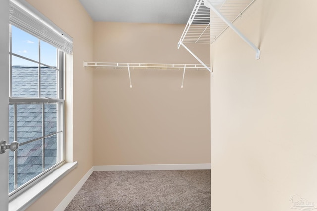 1824 Lindsey Magnolia Ct, Navarre, FL 32566 - walk in closet featuring carpet flooring