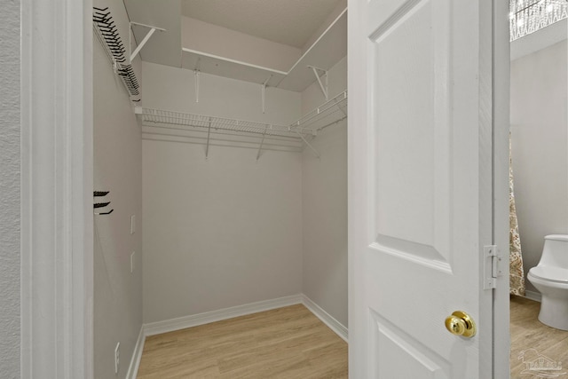 walk in closet with light hardwood / wood-style floors