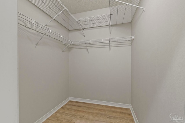 walk in closet featuring hardwood / wood-style floors