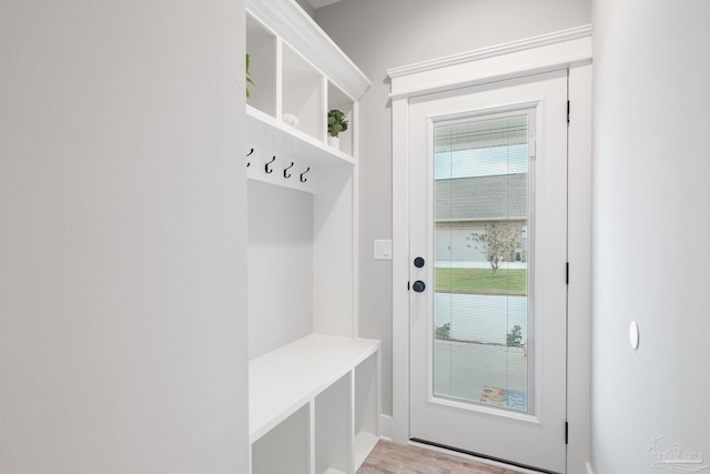 mudroom with light hardwood / wood-style flooring