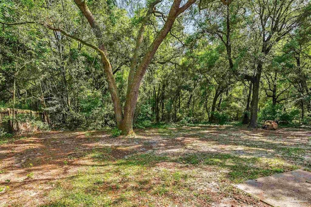 6257 Mohawk Trl, Milton, FL 32583 - view of woods